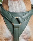 Leather dog harness Sand