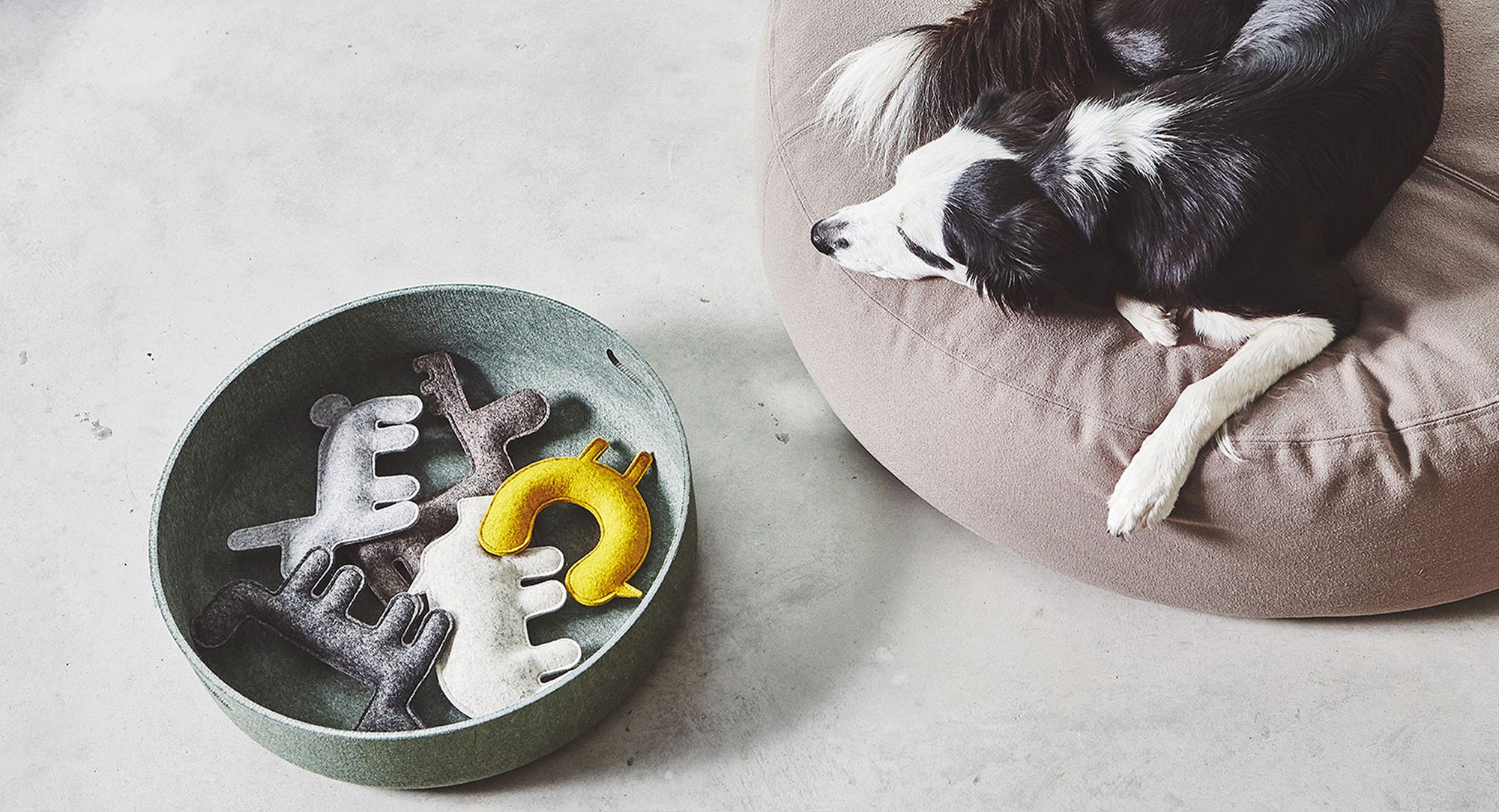 TheOtherWalk I Stilvolles & nachhaltiges Hundespielzeug I Schweiz