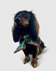 Hundehalsband Twilly Leo
