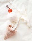 Hundespielzeug Eiscreme Pop