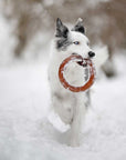 Hundespielzeug Rub Bite Grösse S