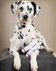 Shawn the Snowman Dog Toy Laboni