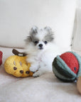 Hundespielzeug Früchte Set