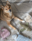 ENGELFISCH//BEREICHERUNGSSPIELZEUG FÜR HUNDE