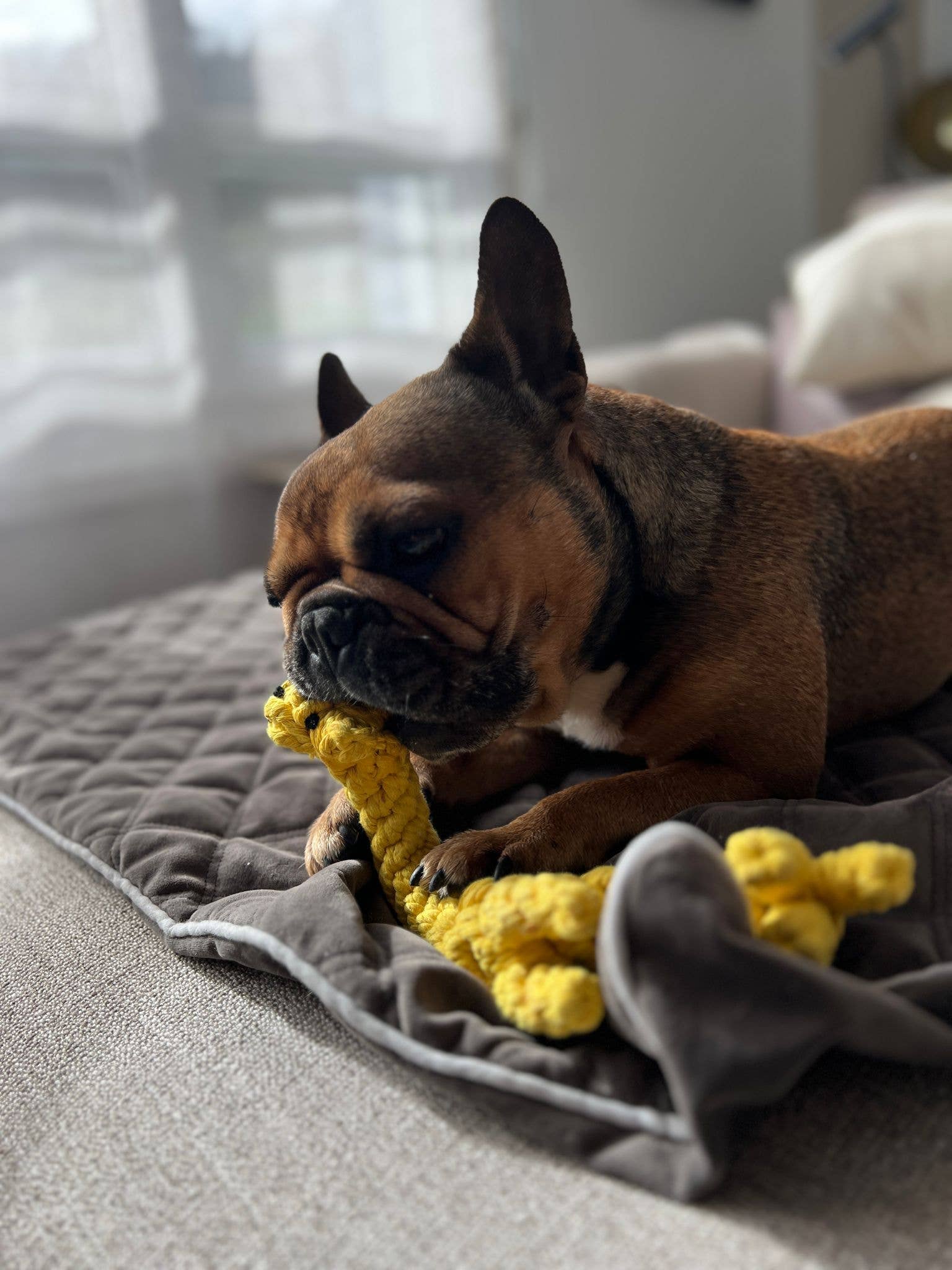 Gretchen Giraffe Hundespielzeug Laboni