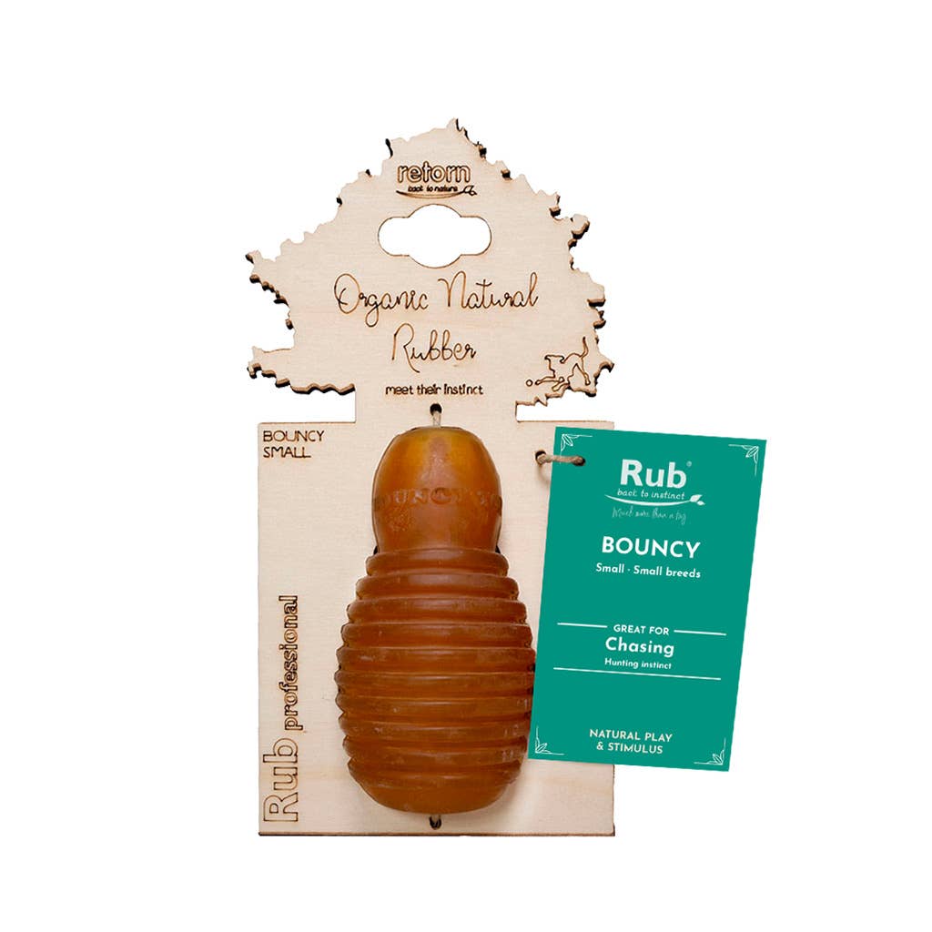 Hundespielzeug Rub Bouncy Grösse S
