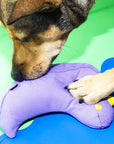 Das Fritz-Vogel-Hundespielzeug: Fröhliches Lila