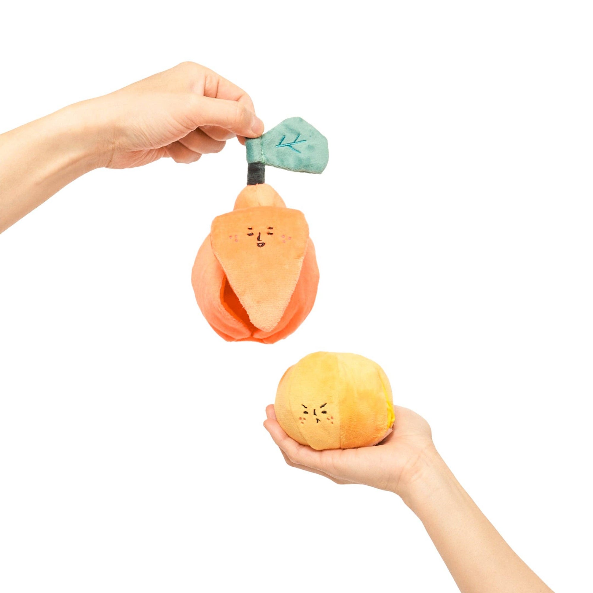 Schnüffelspiel Orange Hundespielzeug