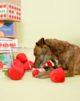 Schnüffelspiel Apple Nosework Hundespielzeug
