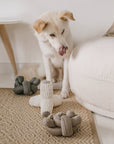 Hundespielzeug Nou Schwarz