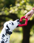 Hertha Heart: Medium Dog Toy Laboni