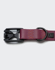 Hundehalsband Ipanema  BioThane Magenta-Orange