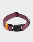 Hundehalsband Ipanema  BioThane Magenta-Orange