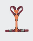 Y-Dog Harness Madeira Papaya