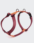 Y-Dog Harness Madeira Papaya