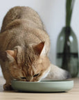 Ne&no® Anti-Schlingnapf / Schleckschale für Hunde & Katzen: Stone Grey