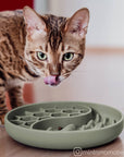 Ne&no® Anti-Schlingnapf / Schleckschale für Hunde & Katzen: Stone Grey