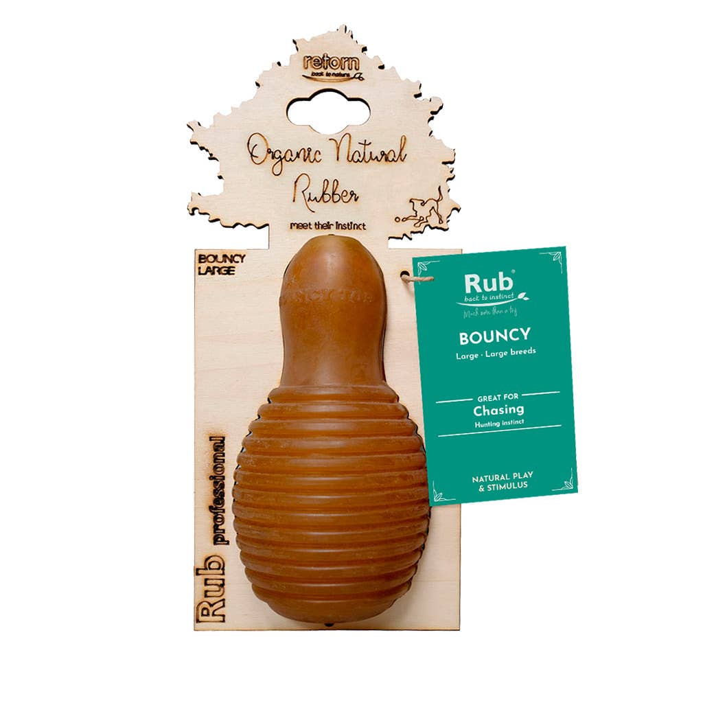 Hundespielzeug Rub Bouncy Grösse M