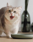 Ne&no® Anti-Schlingnapf / Schleckschale für Hunde & Katzen: Stone Grey