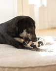 Hundespielzeug Knister Donut Leo