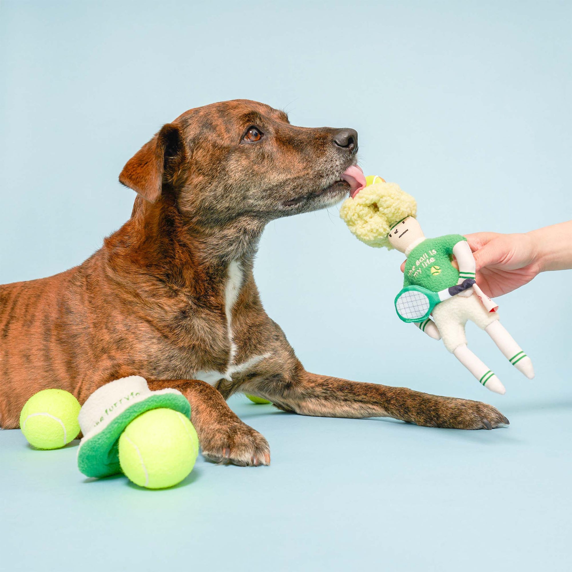 Schnüffelspiel Tennisspieler Hundespielzeug
