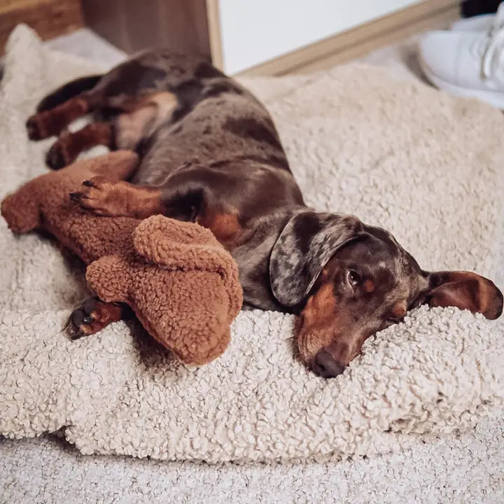 Hundspielzeug Dackel Musch