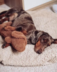 Hundspielzeug Dackel Musch