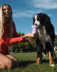 Hundetrinkflasche Flip 0.6L lila