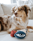 PICASSO//BEREICHERUNGSSPIELZEUG FÜR HUNDE