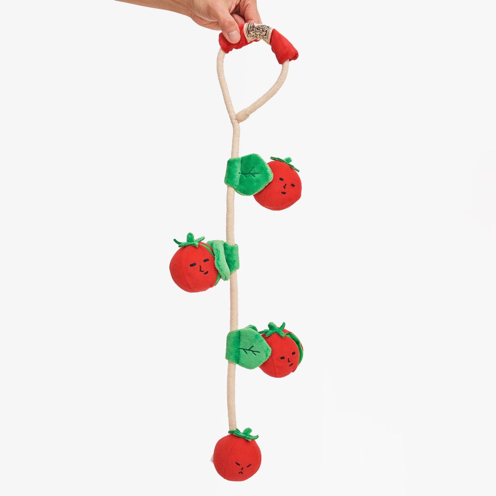 Schnüffel- und Ziehspielzeug mit Kirschtomaten