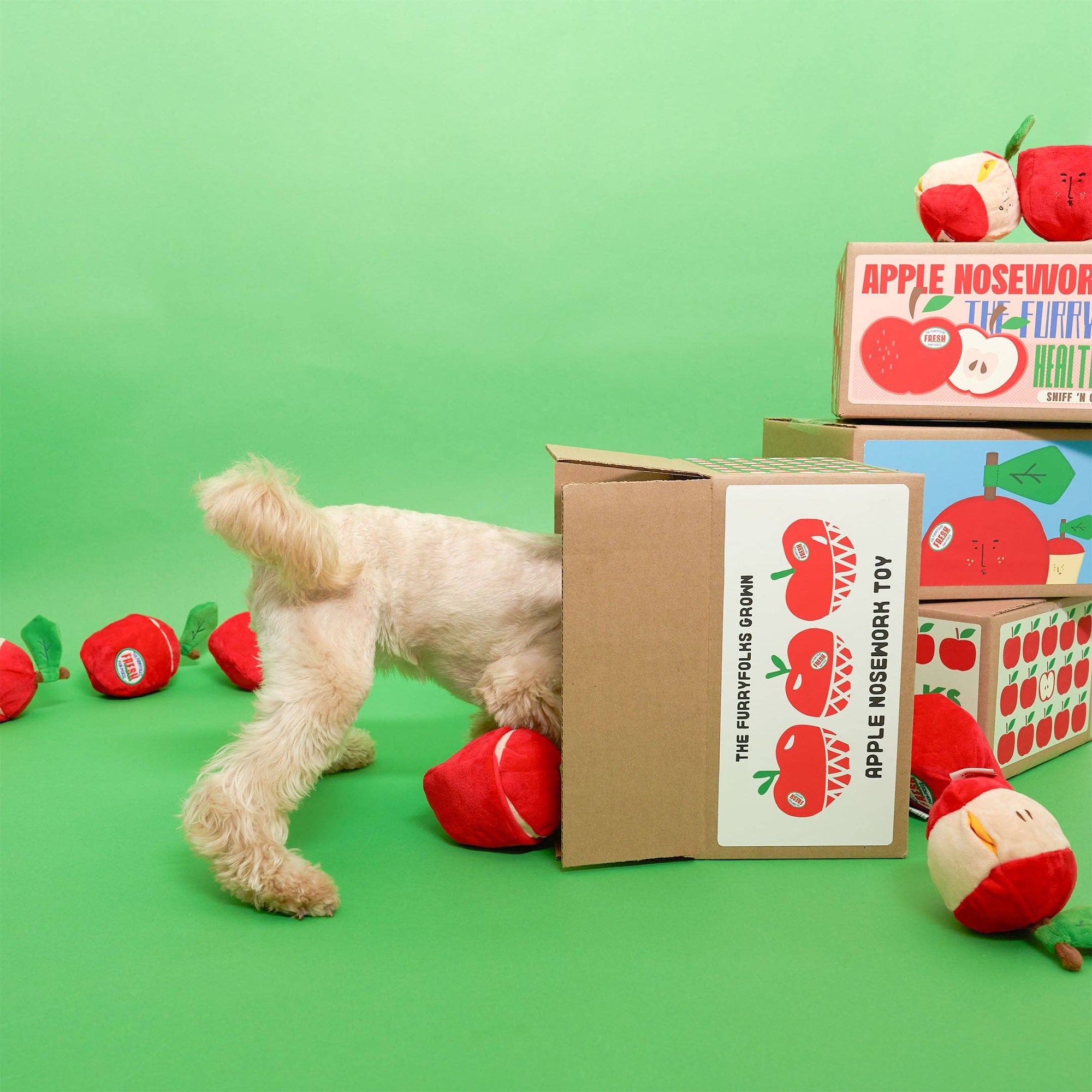 Schnüffelspiel Apple Nosework Hundespielzeug