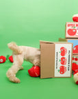 Schnüffelspiel Apple Nosework Hundespielzeug