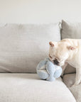 Hundespielzeug Schnüffelspiel Monti Babyblau