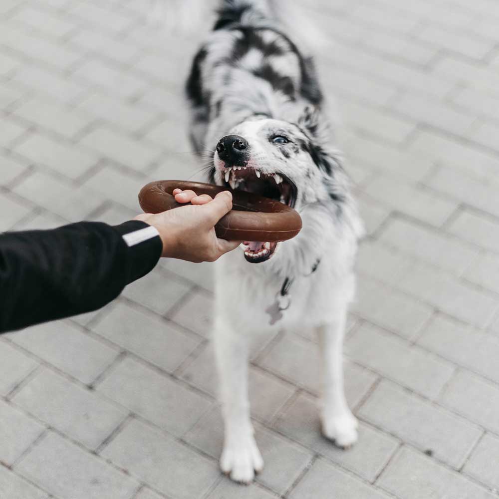 Hundespielzeug Rub Bite Grösse M