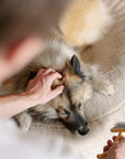 Anti-tangling fur spray