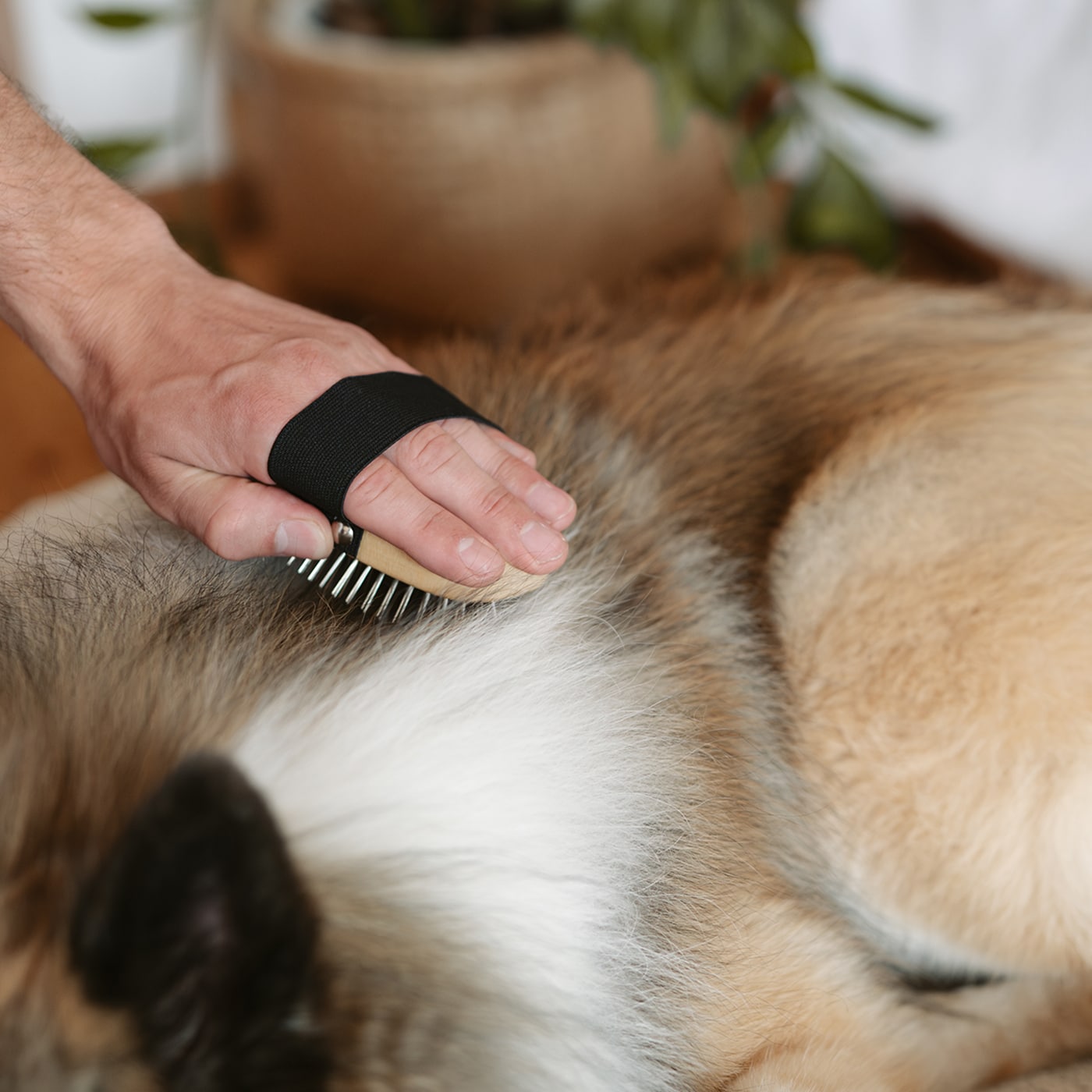 Brush long hair
