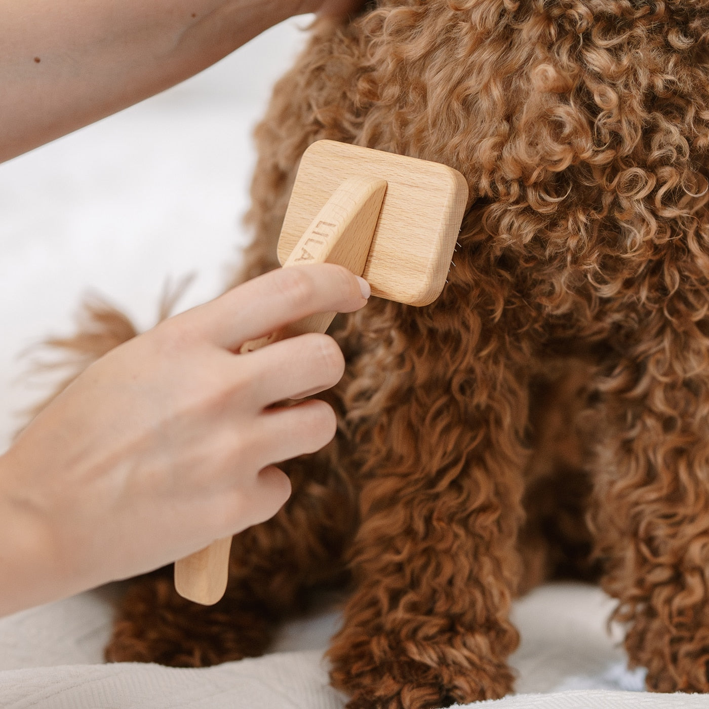 slicker brush