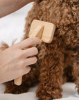 slicker brush