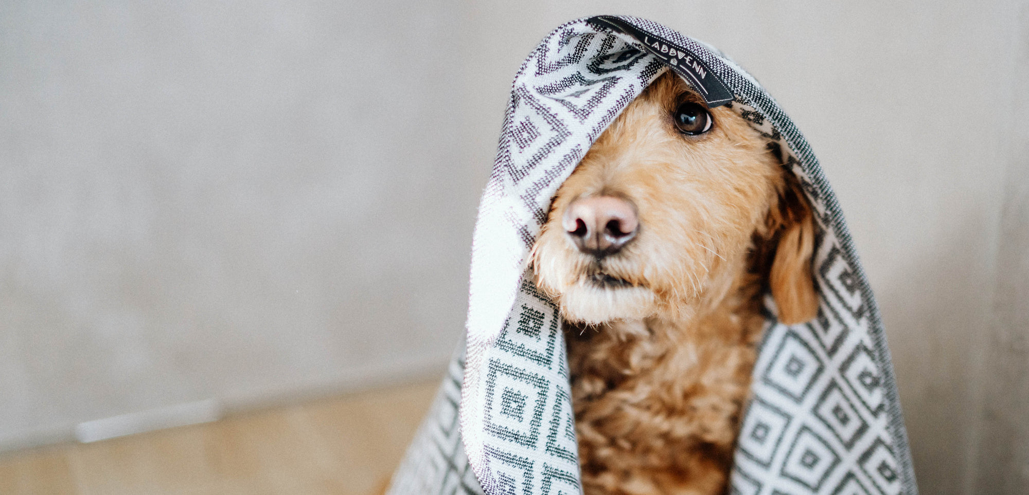 Fair produzierte Hundebetten und Hundekissen von labbvenn.