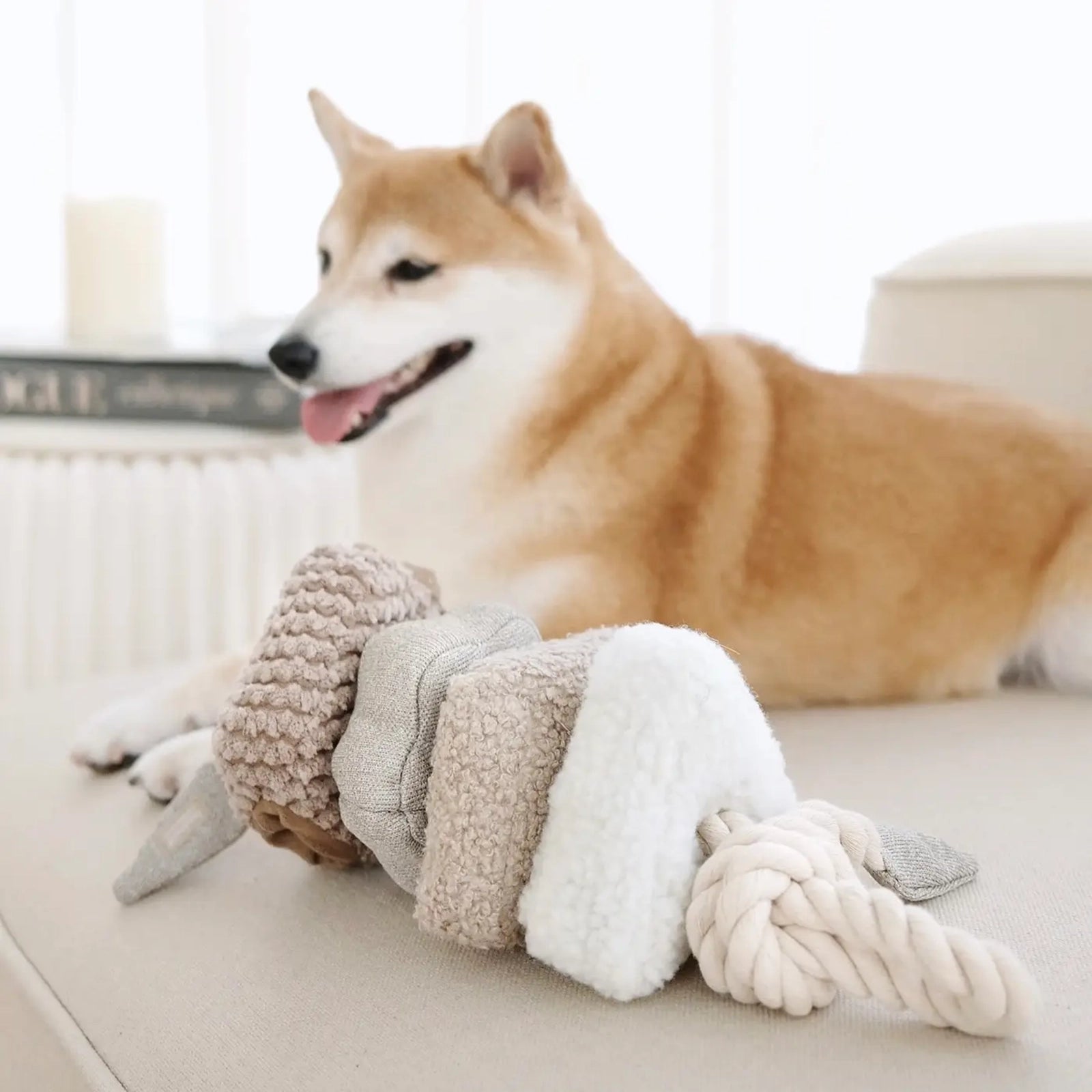 Hundespielzeug Blocs nude