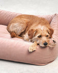 Box bed Velluto Nude