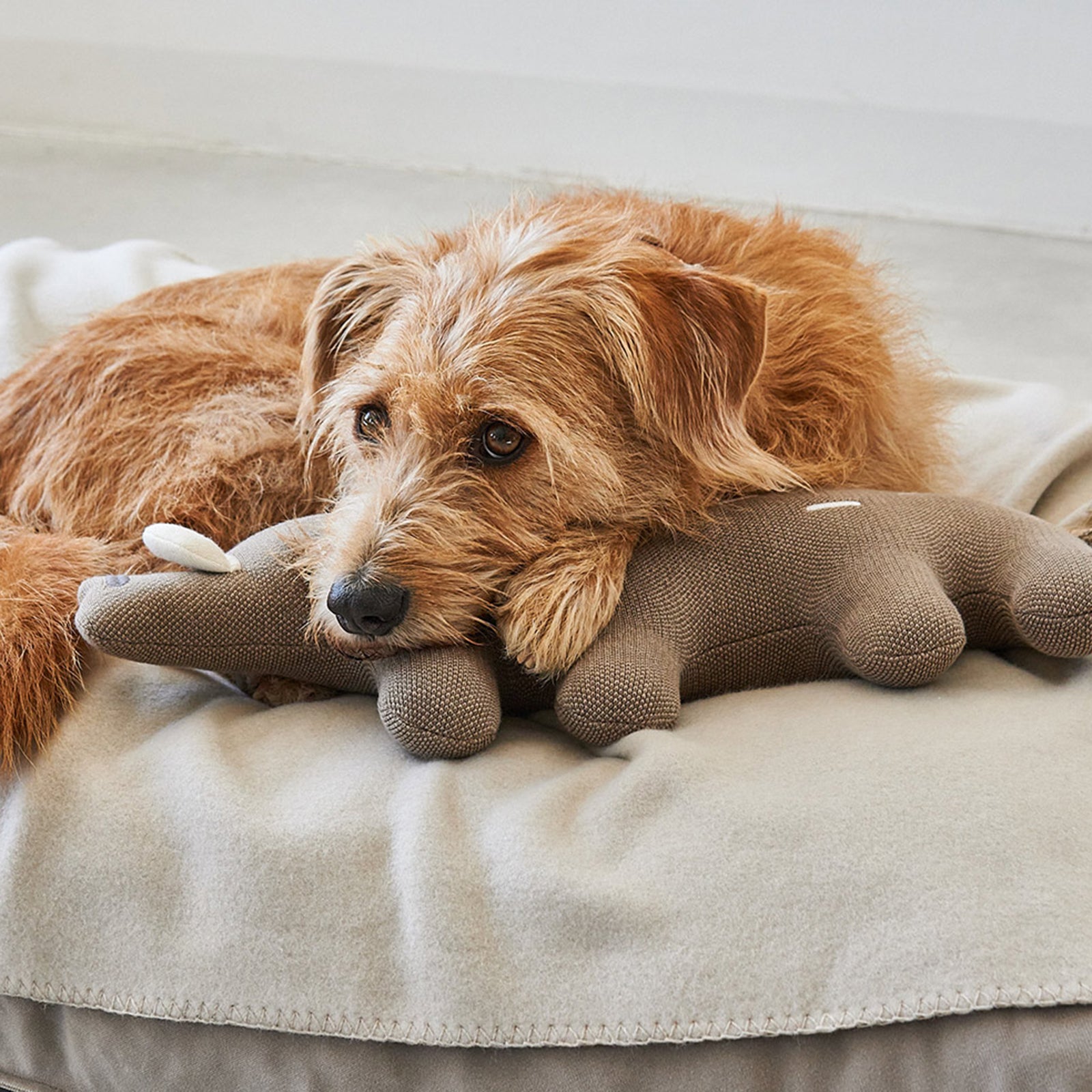 Soft toy Bosco wild boar brown