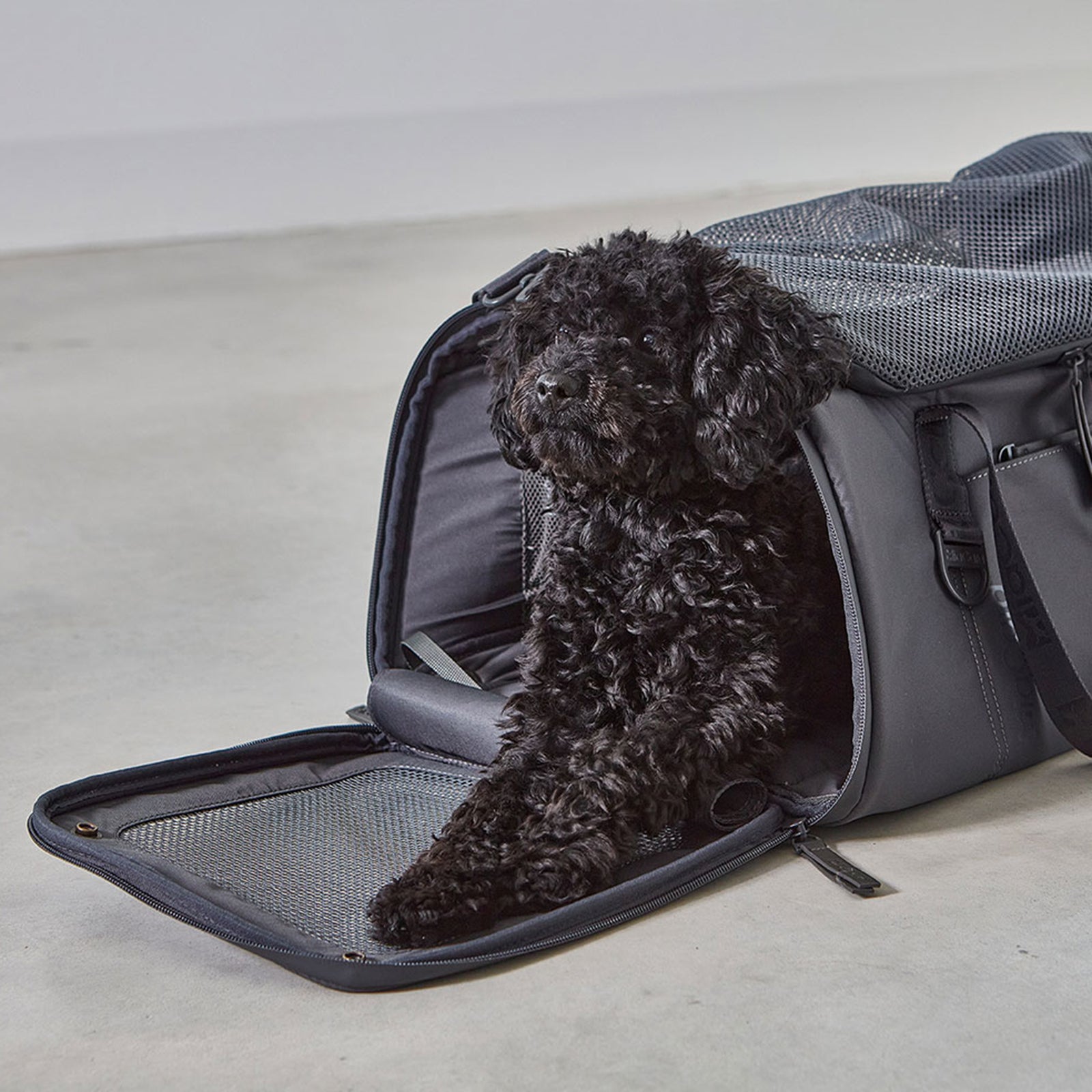 Flight holdall Volata Asphalt