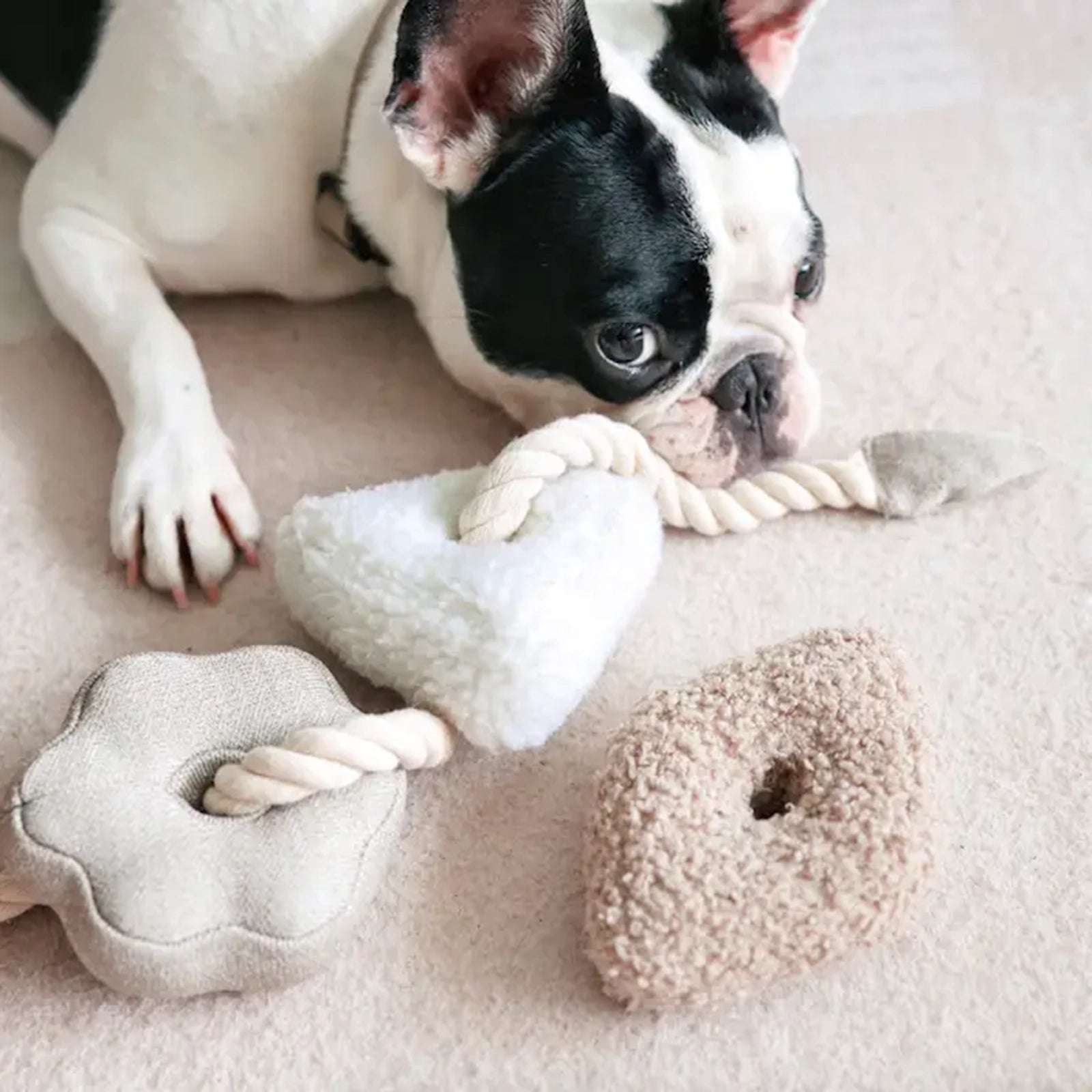 Hundespielzeug Blocs nude