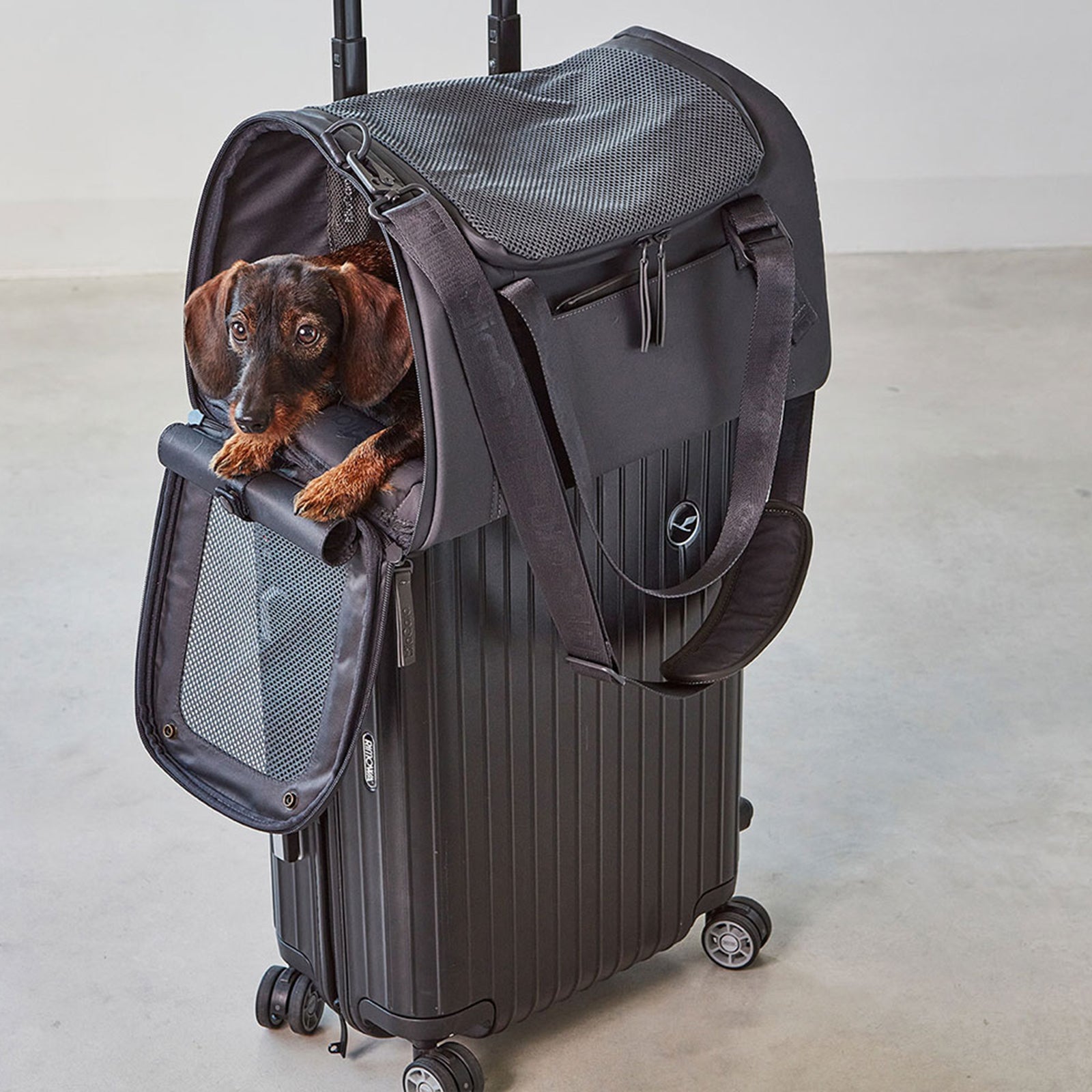 Flight holdall Volata Asphalt