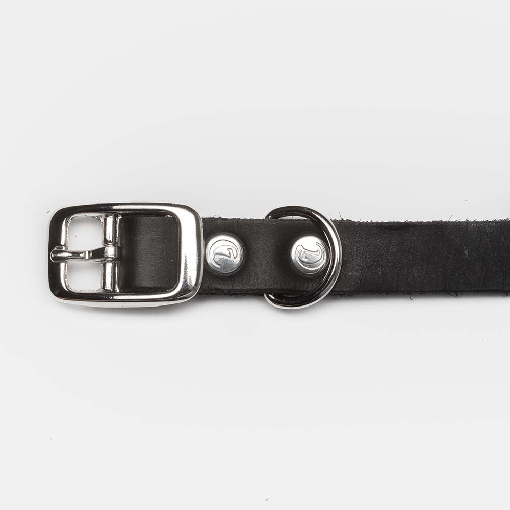 Hundehalsband Riverside Park Black / schwarz