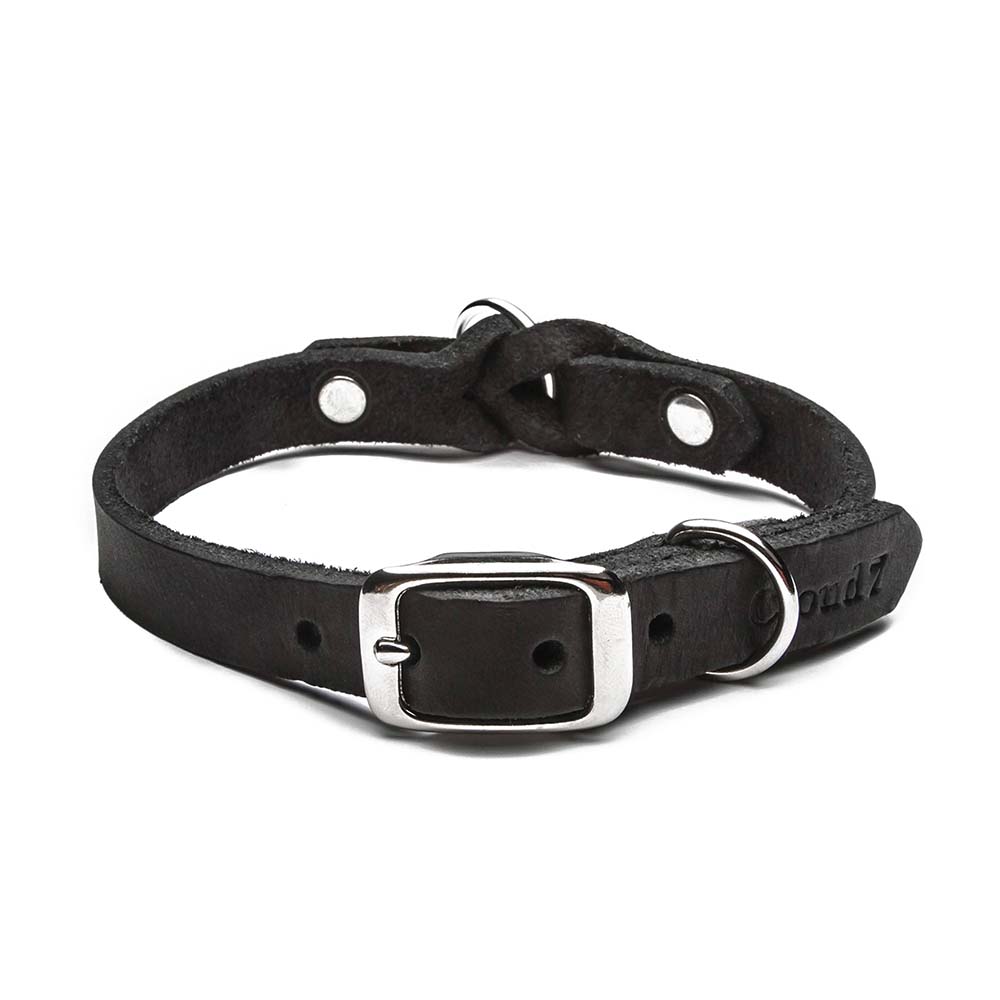 Hundehalsband Riverside Park Black / schwarz