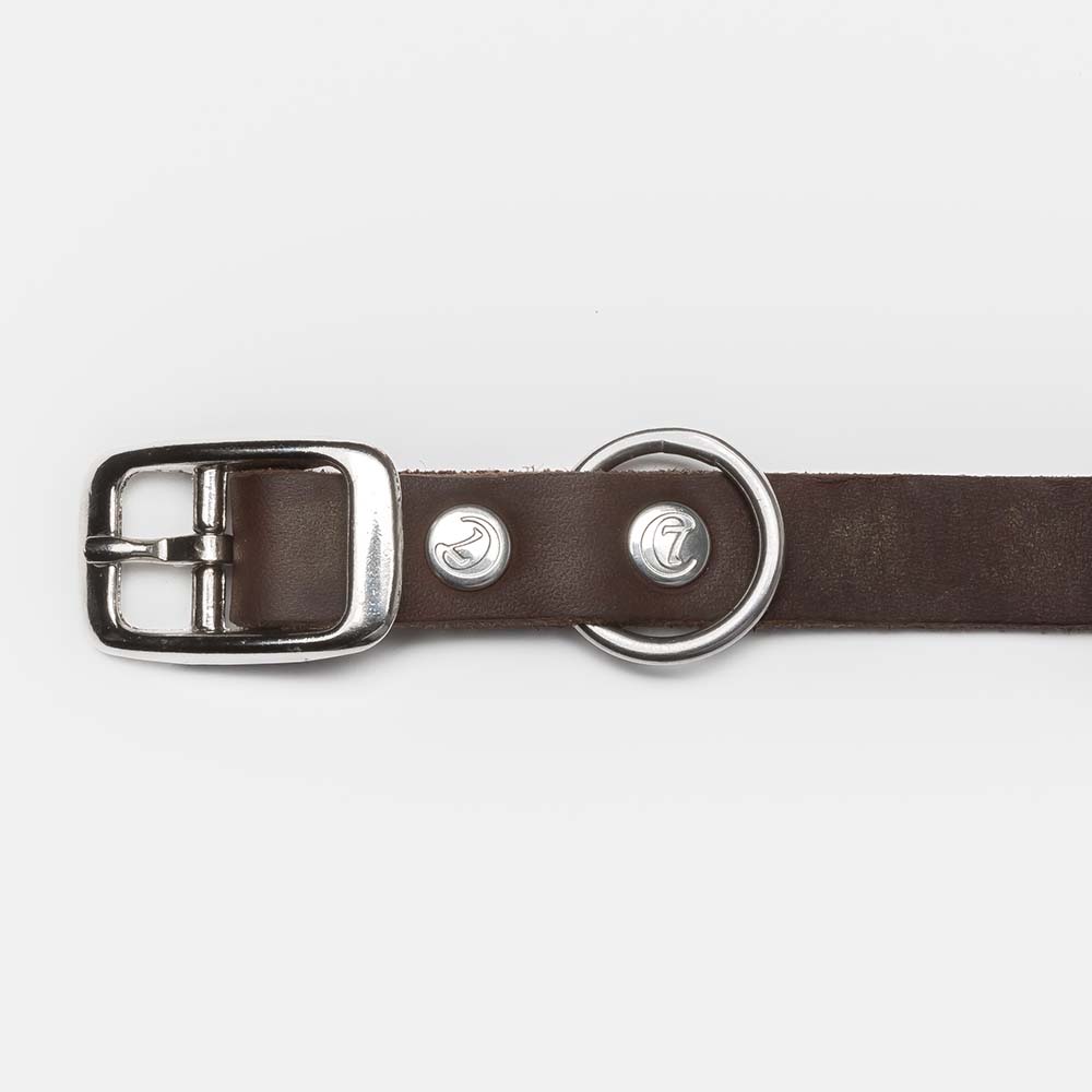 Hundehalsband Riverside Park Saddle Brown / braun