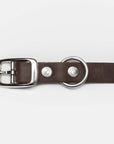 Hundehalsband Riverside Park Saddle Brown / braun