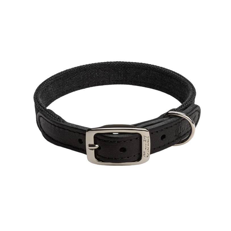 Hundehalsband Tivoli Black